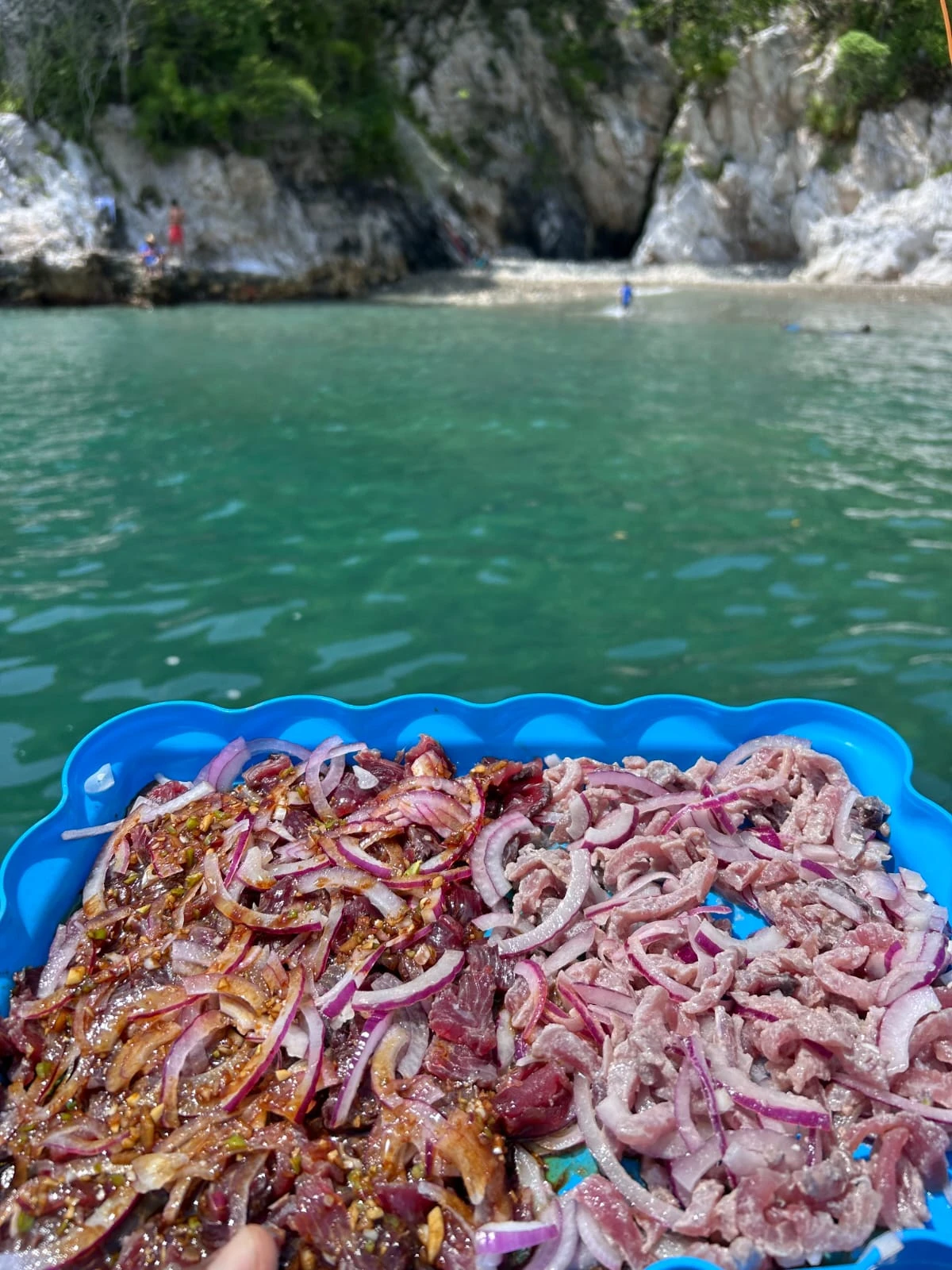 Botanas frescas de pescado: tiritas y sashimi con limón y salsas